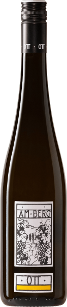 White Austrian Bernhard Ott Am Berg Gruner Veltliner 2024 wine
