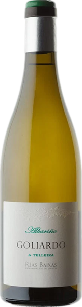White Spanish Bodegas Forjas del Salnes Leirana Albarino 2023 wine